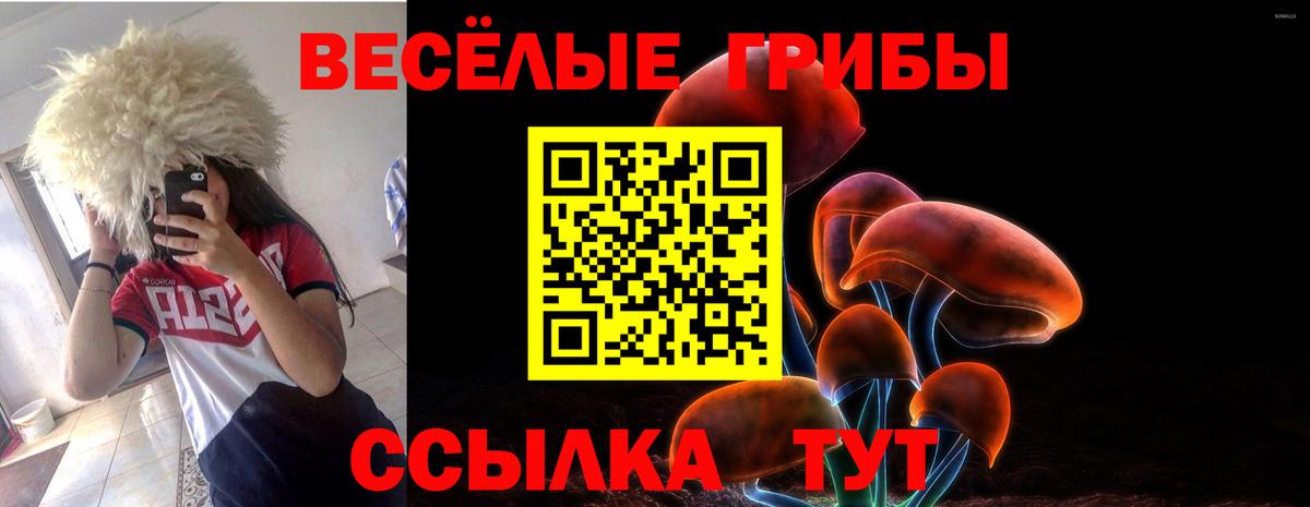 Карталы  Псилоцибиновые грибы мухоморы  Вход с VPN 